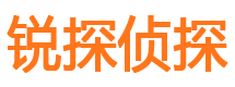 中阳侦探公司